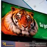 TELA BACKLIGHT 440 GRS 1.52*50 MTS, photo 4