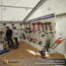 FREE-STANDING HIGH MODULAR DISPLAY WALLS - FS24, photo 4